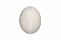 Slippery Egg
